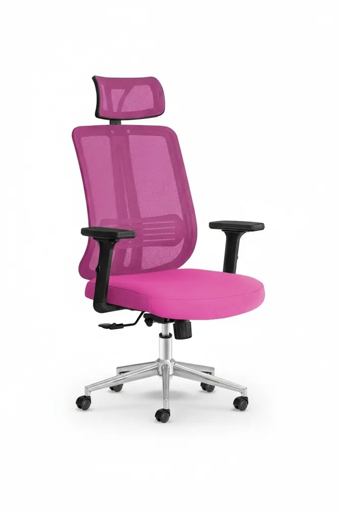 Poyraz Başlıklı Fileli Ergonomik Çalışma Koltuğu · Görsel 1