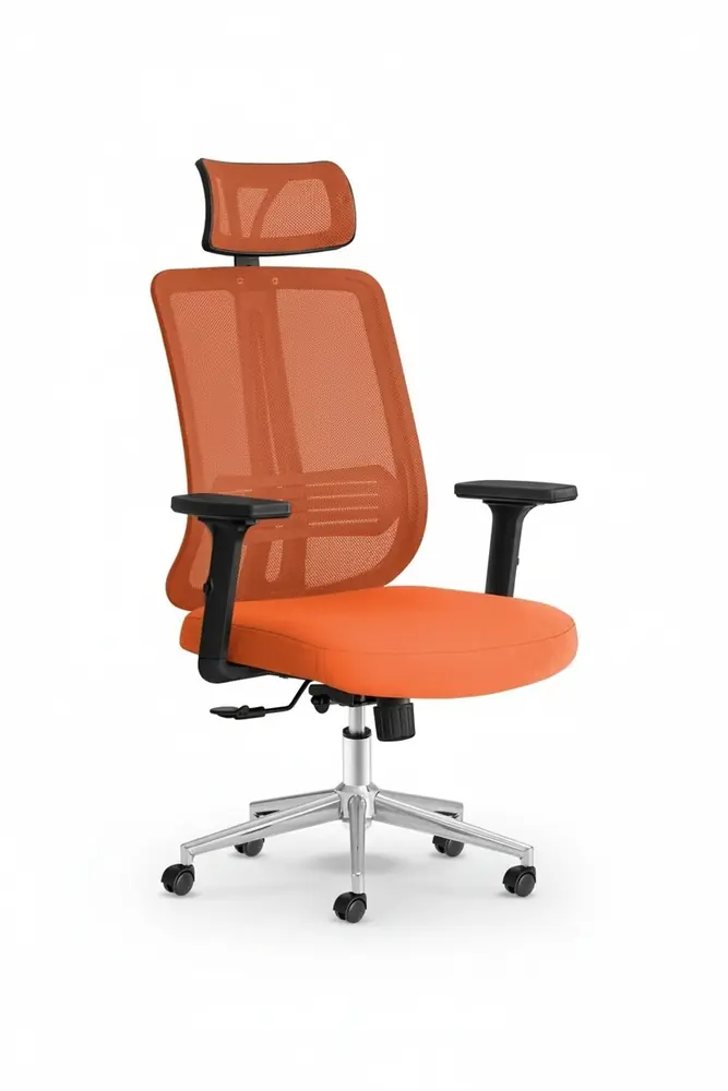 Poyraz Başlıklı Fileli Ergonomik Çalışma Koltuğu · Görsel 1