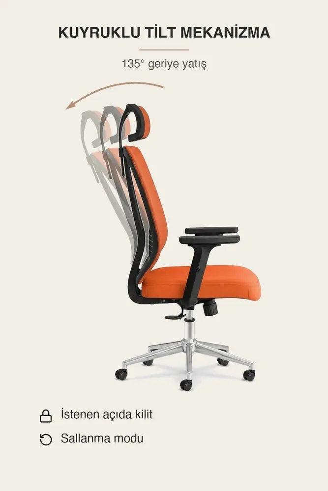 Poyraz Başlıklı Fileli Ergonomik Çalışma Koltuğu · Görsel 8