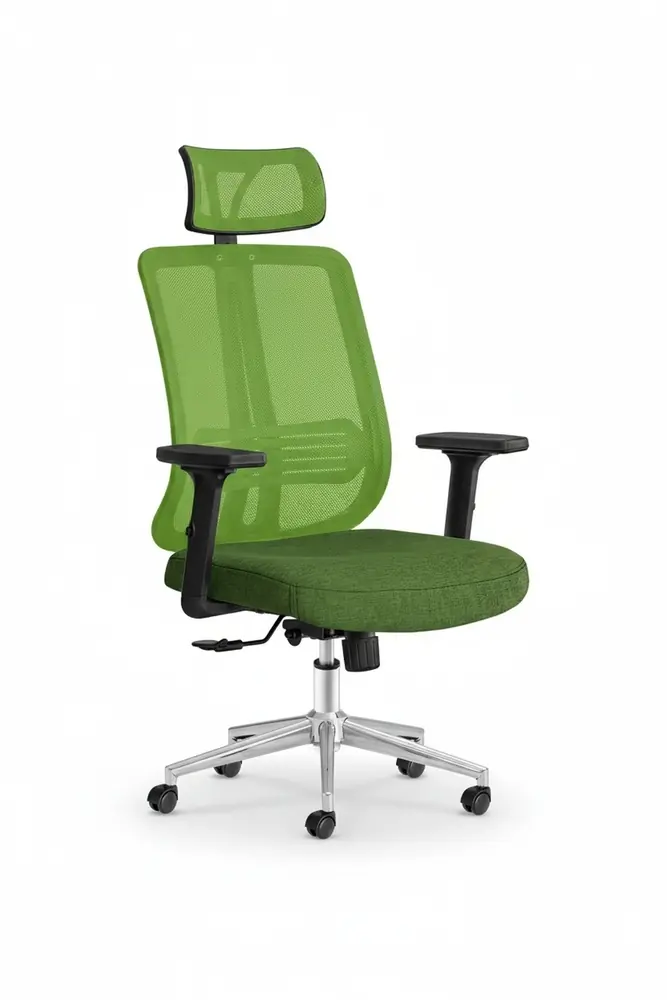 Poyraz Başlıklı Fileli Ergonomik Çalışma Koltuğu · Görsel 1